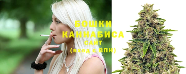 ECSTASY Чекалин