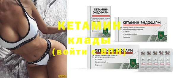 прущие грибы Вязники