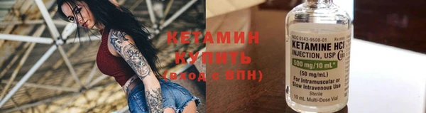 прущие грибы Вязники