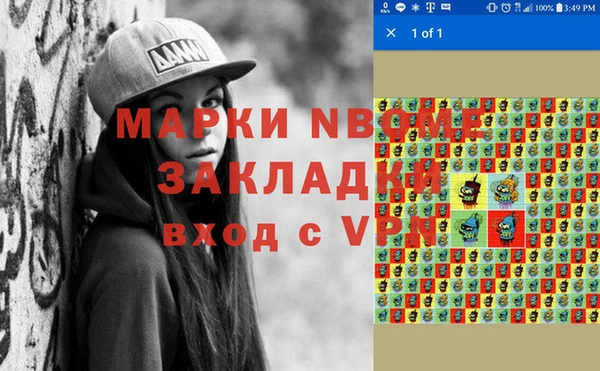 прущие грибы Вязники