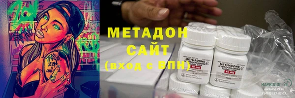 прущие грибы Вязники