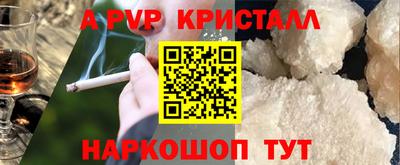амф Гай