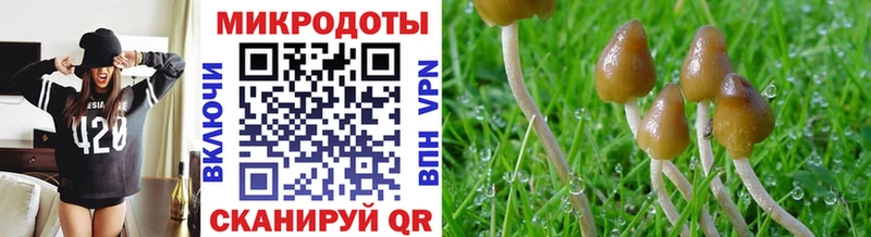 Псилоцибиновые грибы Cubensis  купить закладку  Нефтекамск 