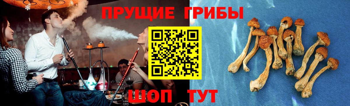 Галлюциногенные грибы ЛСД  Псилоцибиновые грибы MAGIC MUSHROOMS  Вход с VPN  Нефтекамск 